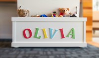 /album/photo-gallery-homepage/oliviatoybox-cropped-jpg1/